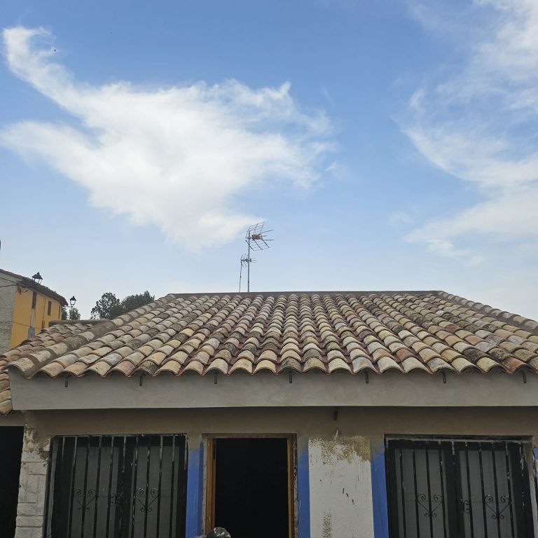 restauración-tejado-por-termitas (13)