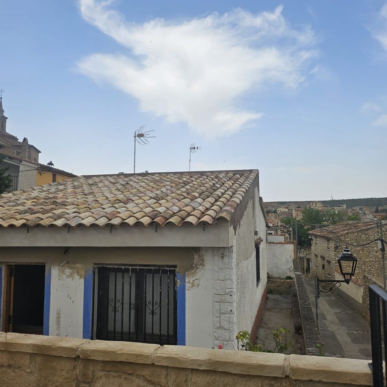 restauración-tejado-por-termitas (14)