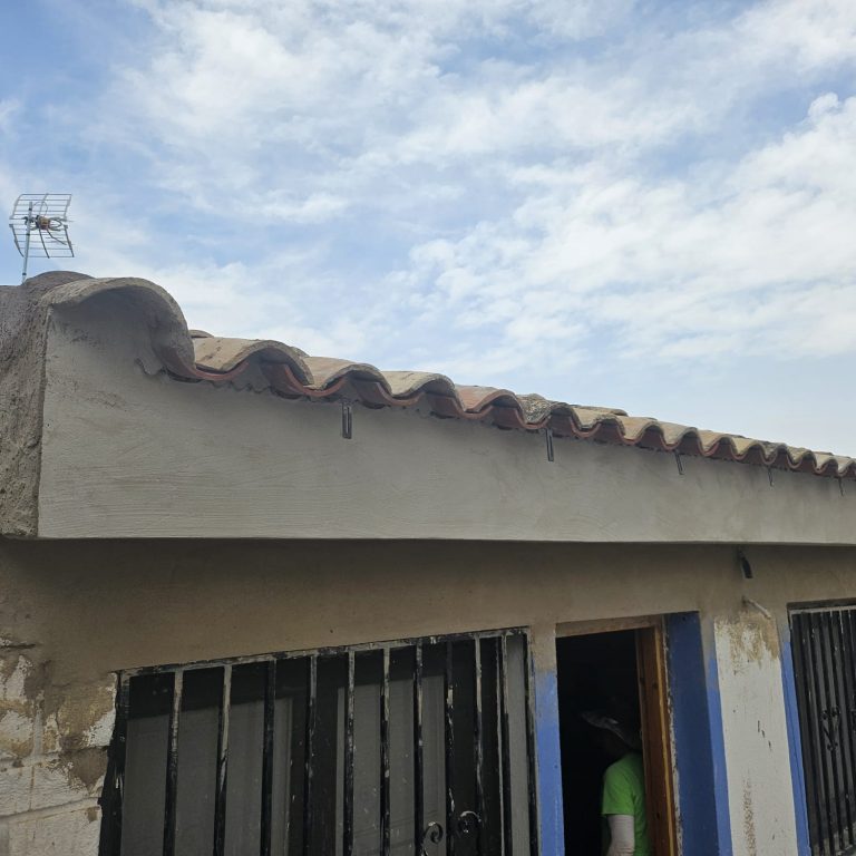 restauración-tejado-por-termitas (15)