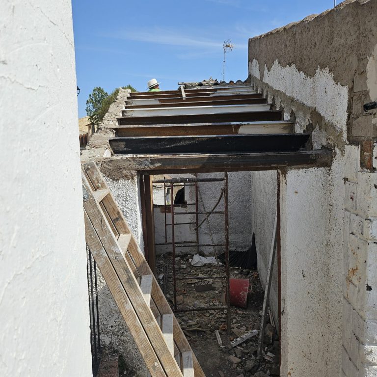 restauración-tejado-por-termitas (2)