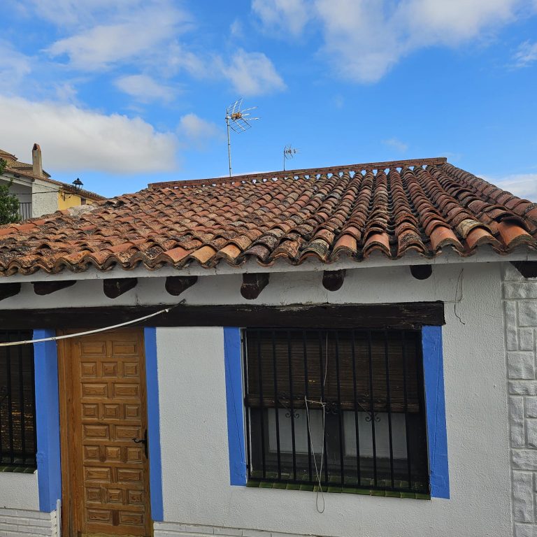 restauración-tejado-por-termitas (3)