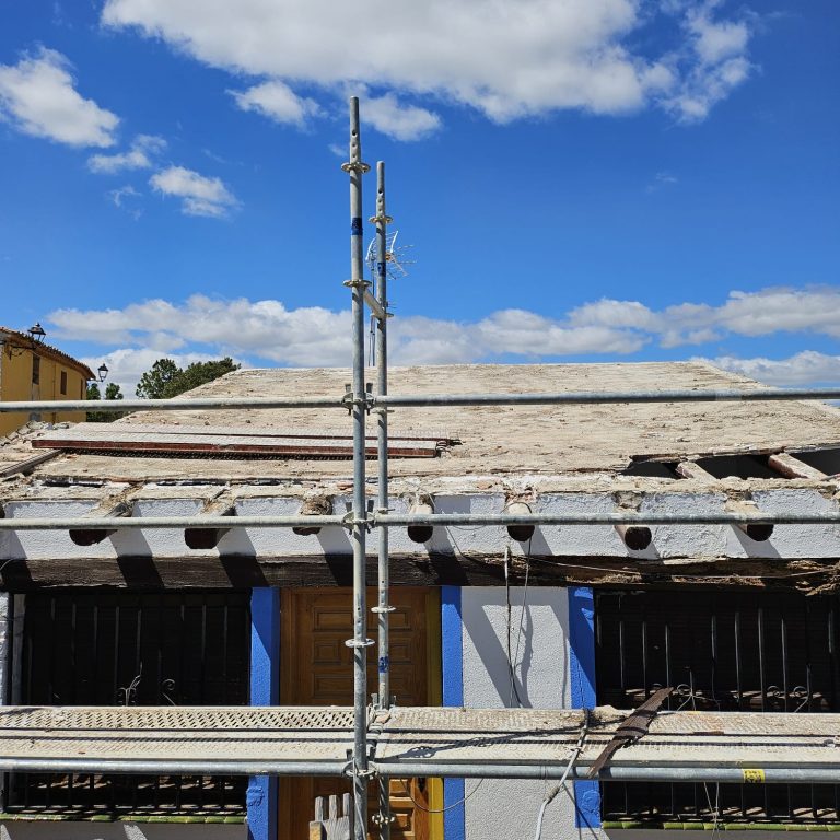 restauración-tejado-por-termitas (4)