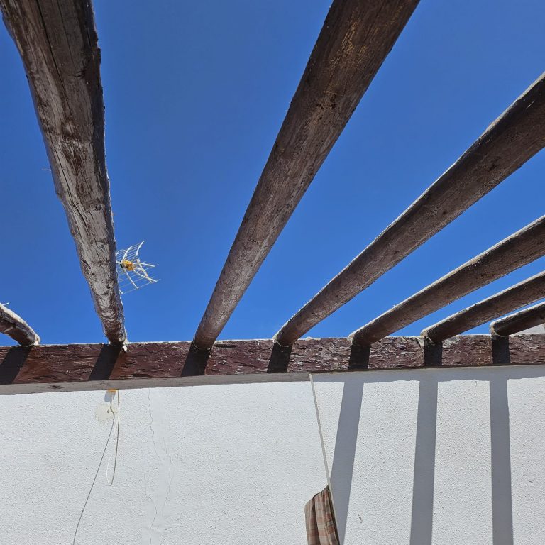 restauración-tejado-por-termitas (5)