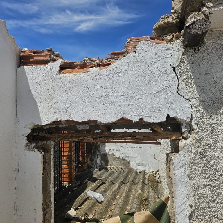 restauración-tejado-por-termitas (7)