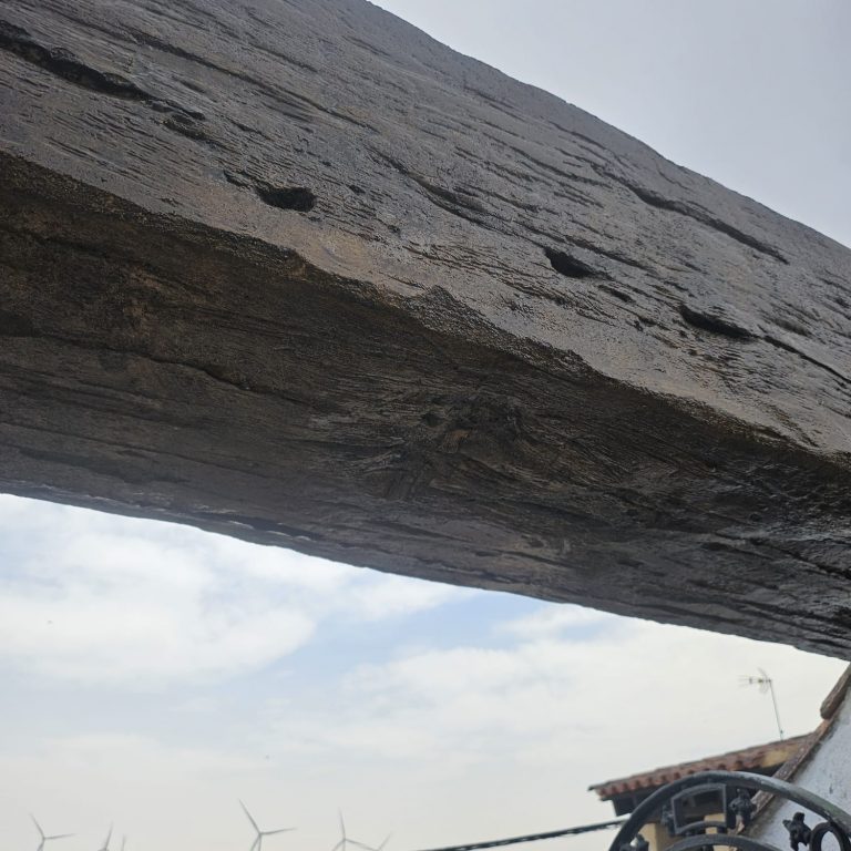 viga-en-mal-estado (6)